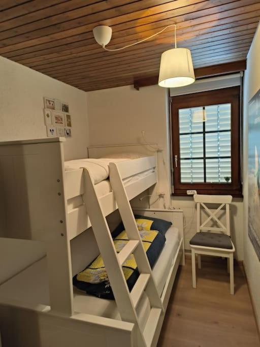 Im Haus Castor Appartamento *