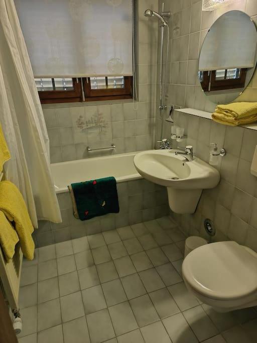 Appartamento Im Haus Castor Grächen